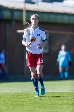 Bild 248 - wBJ Hamburger SV - WfL Wolfsburg : Ergebnis: 2:1